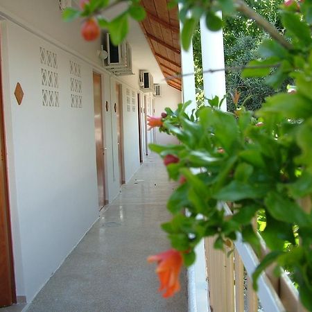 George'S Apartment Agia Marina  部屋 写真