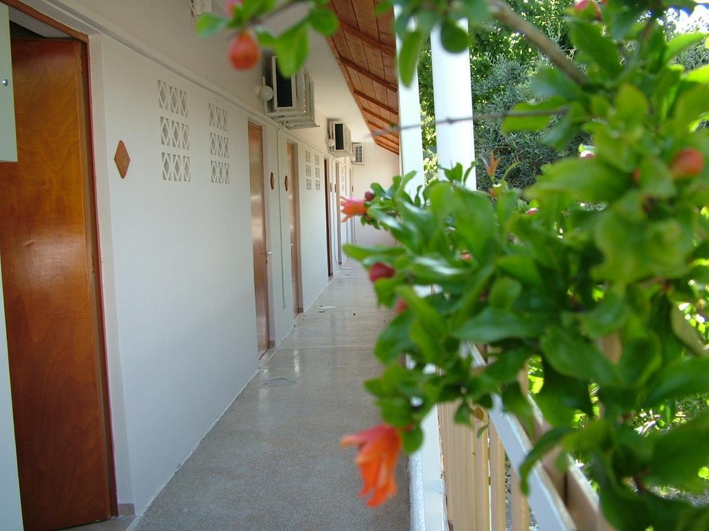 George'S Apartment Agia Marina  部屋 写真