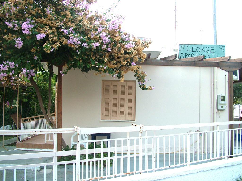 George'S Apartment Agia Marina  部屋 写真