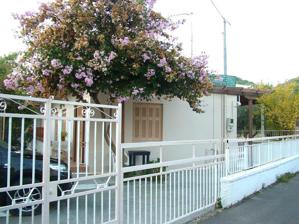 George'S Apartment Agia Marina  部屋 写真